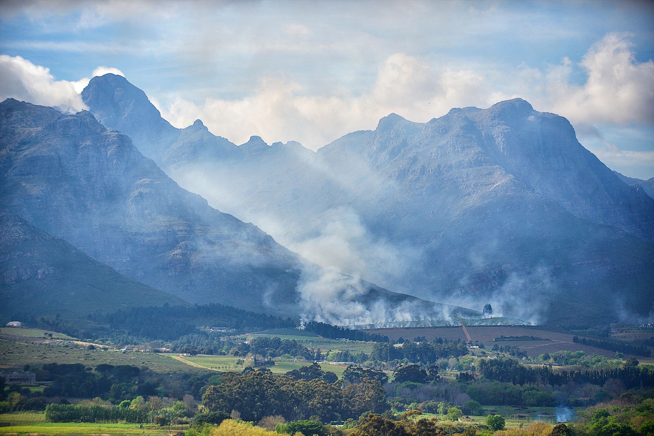 Vineyard field fire with smoke rising