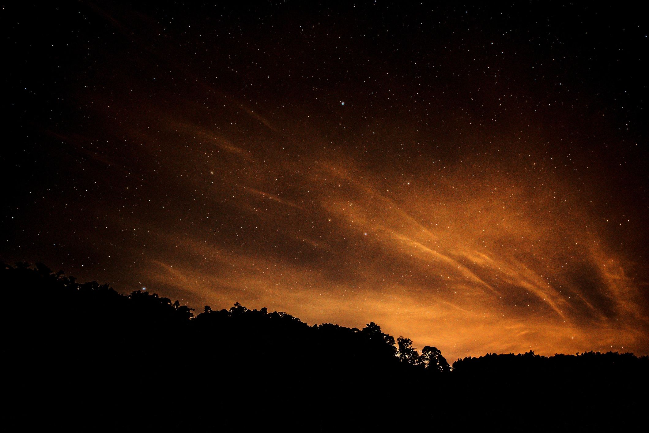 Night landscape with the Milky Way visible