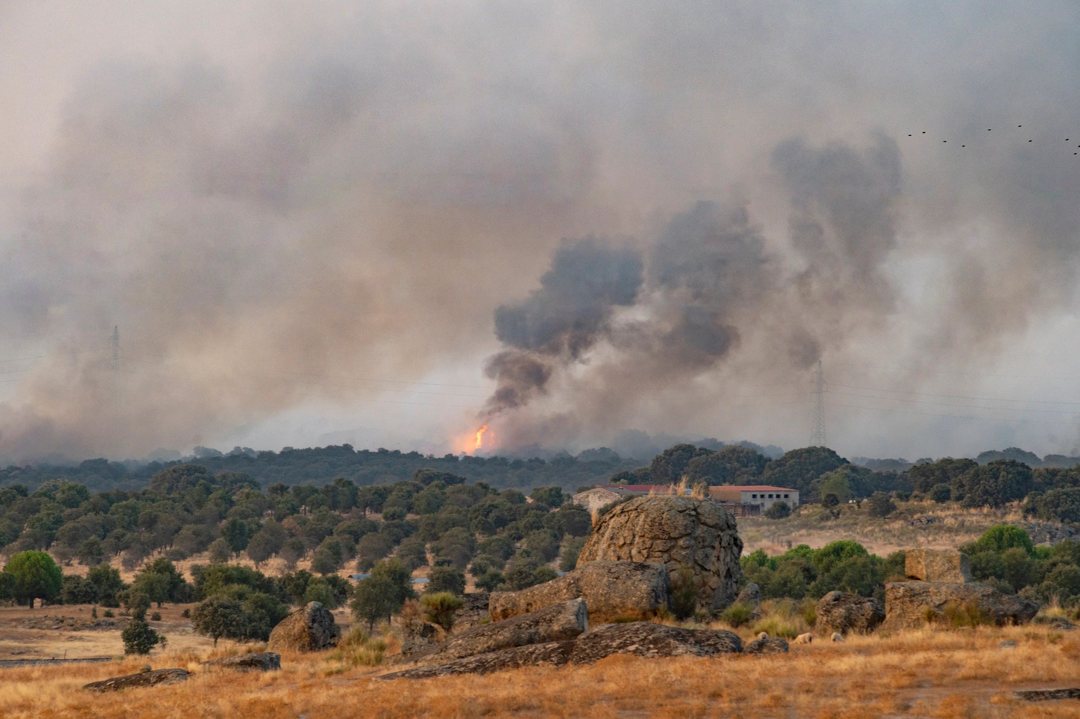 Wildfire flames and thick smoke rising behind rural homes