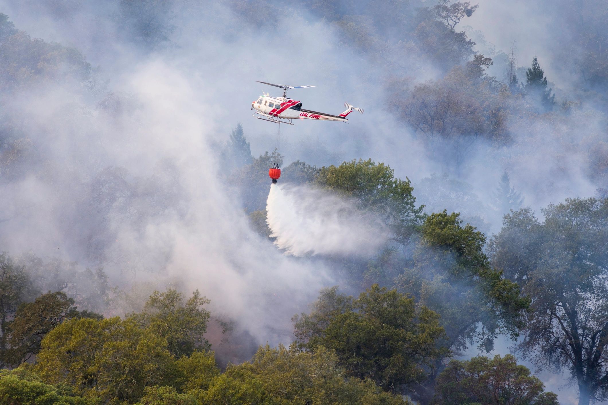 Wildfire burning on hillside above vineyard